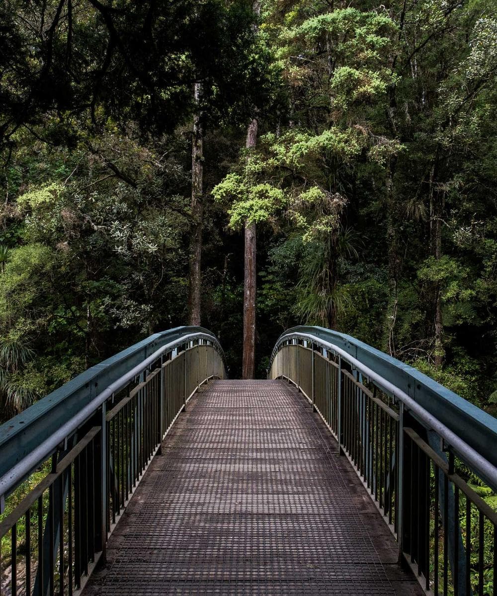 Sleigh All Day - Premium Funny Christmas T-Shirt in Forest Green