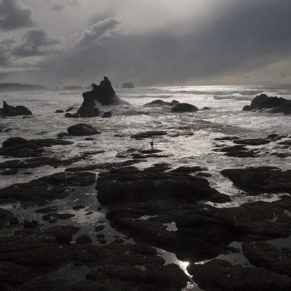 Merry & Bright But Mostly Tired