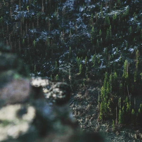 I'D RATHER BE ON THE ISS THIS CHRISTMAS.